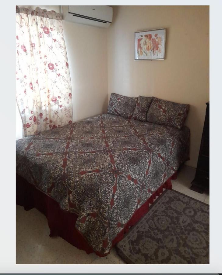 Apartament Chelsea Manor Kingston Zewnętrze zdjęcie